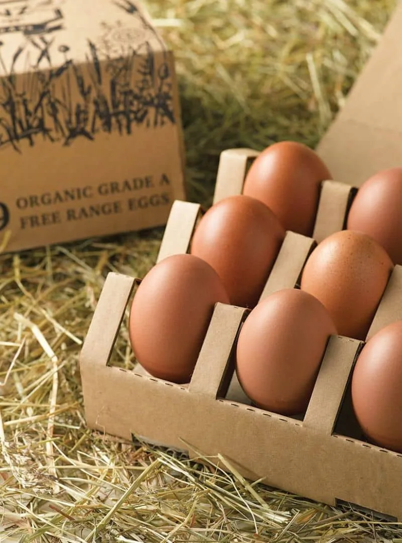 packaging comida caja de huevos